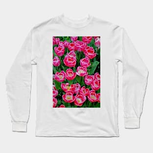 Japanese Spring Study 17 Long Sleeve T-Shirt